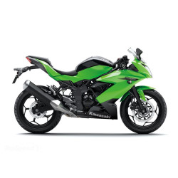 Ninja 250 SL