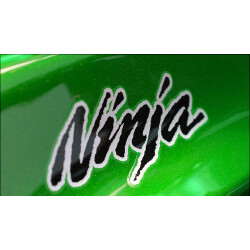Ninja 1000 - Ninja 1100 -SX