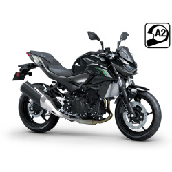 Z 500 2024-