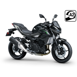 Z 500 2024-