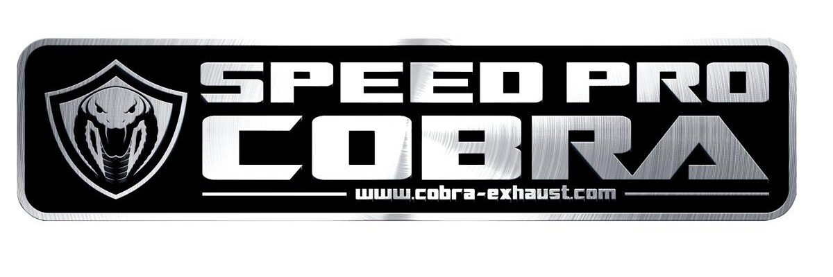 Logo Decal Cobra
