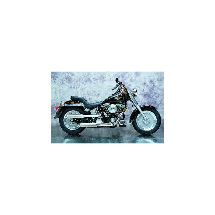 Eagle M7 Softail EVO/TC88/TC96 Fat Boy ab1990-99 2in2 Anlage HiLO mit ABE