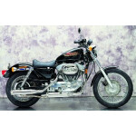 Eagle M7 Sportster 2in2 Anlage mit ABE