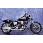 Eagle M7 Dyna FXD Evo 1991-1999 2in2 Anlage mit ABE