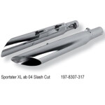 Eagle Sidewinder Sport 2in2 Slipon mit ABE