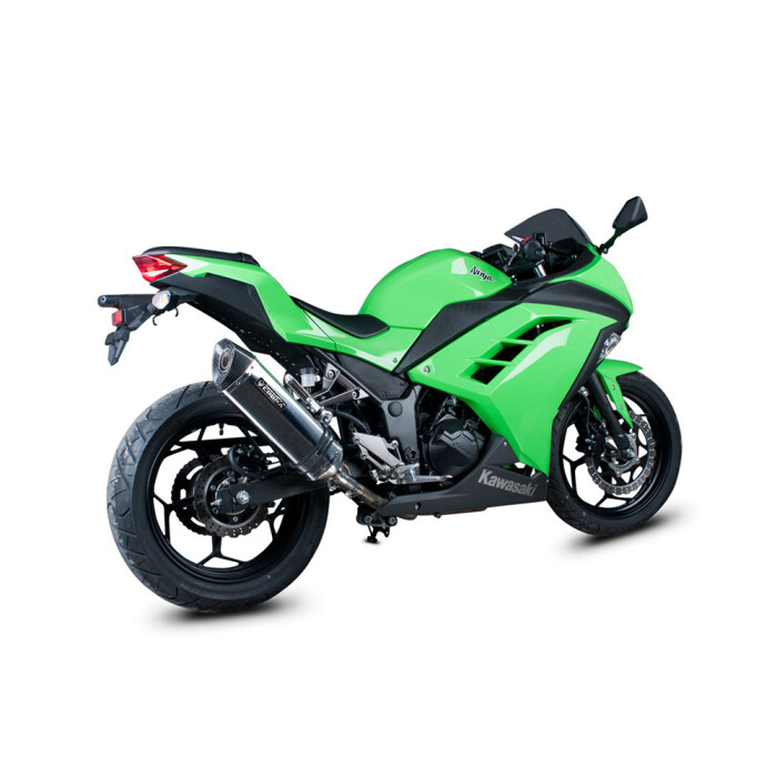 SPEEDPRO COBRA CR2 HEXAGON Slip-on mit EG-ABE Kawasaki Ninja 300 / Z 300