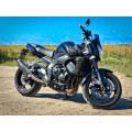 SPEEDPRO COBRA CR2 HEXAGON Slip-on mit EG-ABE Yamaha FZ1 (Fazer 1000 - GT1000 - Fazer1 - FZ1 Fazer)