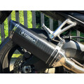 SPEEDPRO COBRA CR2 HEXAGON Slip-on Road Legal/EEC/ABE homologated Yamaha Yamaha FZ1 (Fazer 1000 - GT1000 - Fazer1 - FZ1 Fazer)