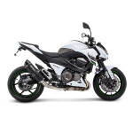 SPEEDPRO COBRA SC3 Slip-on Road Legal/EEC/ABE homologated Triumph Speed Triple