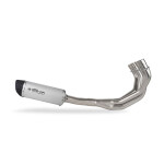 SPEEDPRO COBRA GP2-RR 4in2in1 fullsystem Kawasaki ZRX...