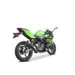 SPEEDPRO COBRA SP2 Slip-on mit EG-ABE Kawasaki Ninja 400...