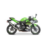 SPEEDPRO COBRA CR2 HEXAGON Slip-on mit EG-ABE Kawasaki...