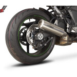 SPEEDPRO COBRA SP1 Slip-on Kawasaki Ninja H2 SX/SE/Tourer