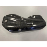 Hitzeschild - Carbon für BMW R 1250 GS