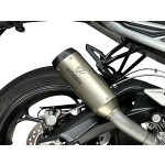 SPEEDPRO COBRA SPX Slip-on Triumph Street Triple 765 RS /...