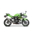 SPEEDPRO COBRA SP1 / G2  Slip-on Kawasaki Ninja 500 / Z 500
