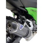 Termignoni Auspuff Slip-On KAWASAKI Z 800 13-16 mit EG-ABE