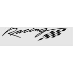 SPEEDPRO MGP-S1R Shorty Slash Slip-on Triumph Trident 800